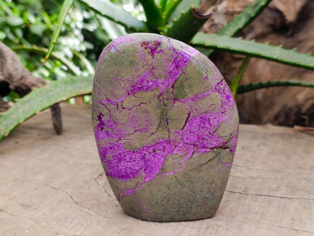 Polished Stichtite Standing Free Forms x 3 From Barberton, South Africa - Toprock Gemstones and Minerals 