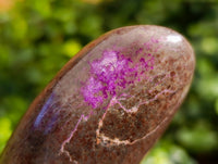 Polished Stichtite Standing Free Forms x 3 From Barberton, South Africa - Toprock Gemstones and Minerals 