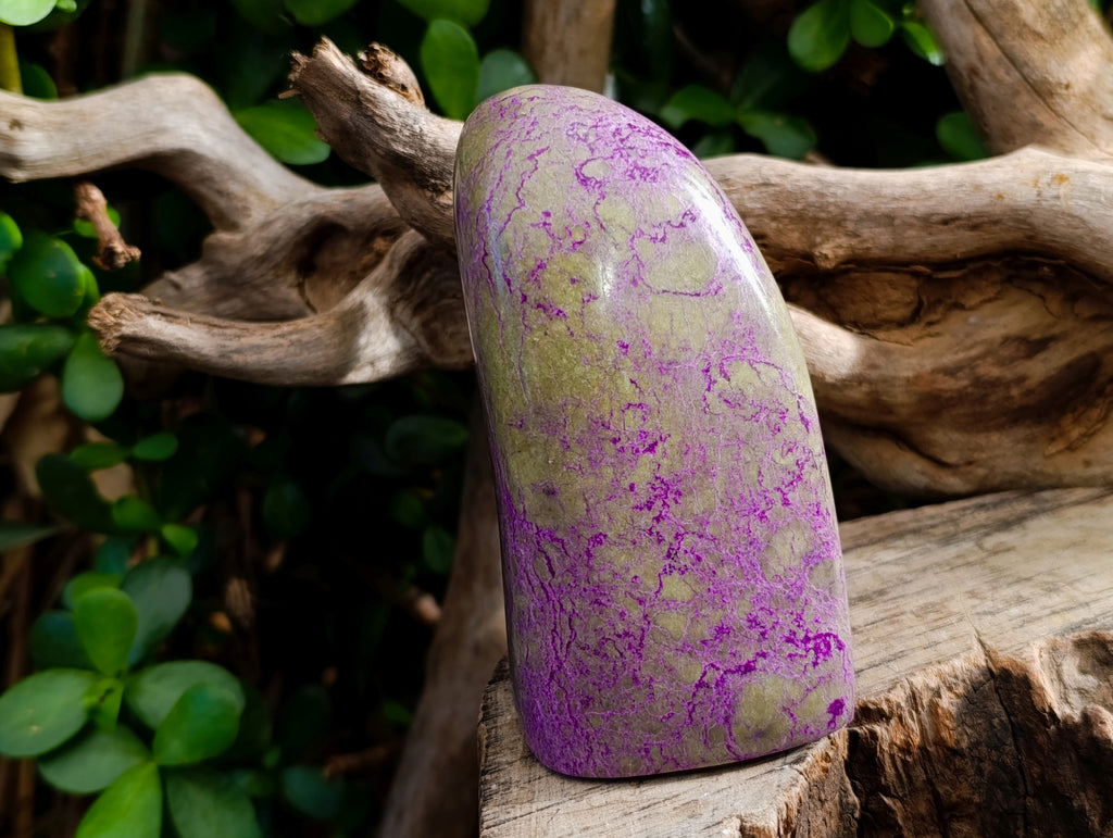 Polished Stichtite Standing Free Forms x 3 From Barberton, South Africa - Toprock Gemstones and Minerals 