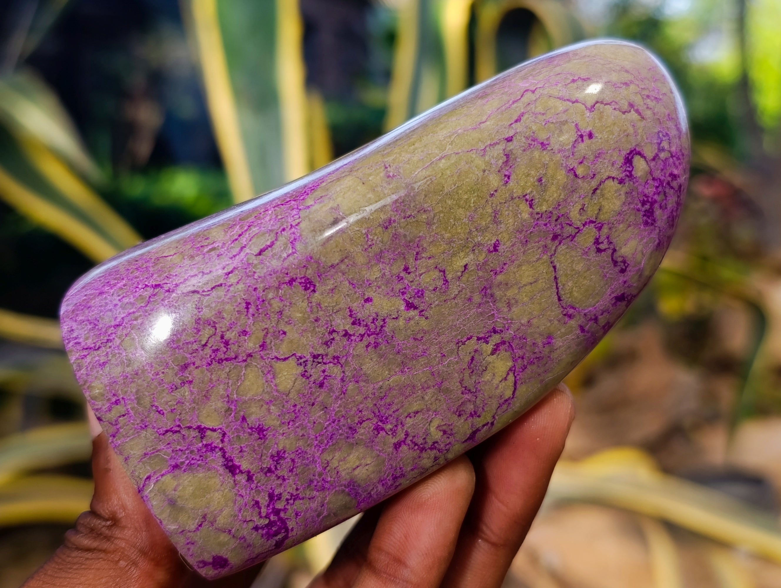 Polished Stichtite Standing Free Forms x 3 From Barberton, South Africa - Toprock Gemstones and Minerals 