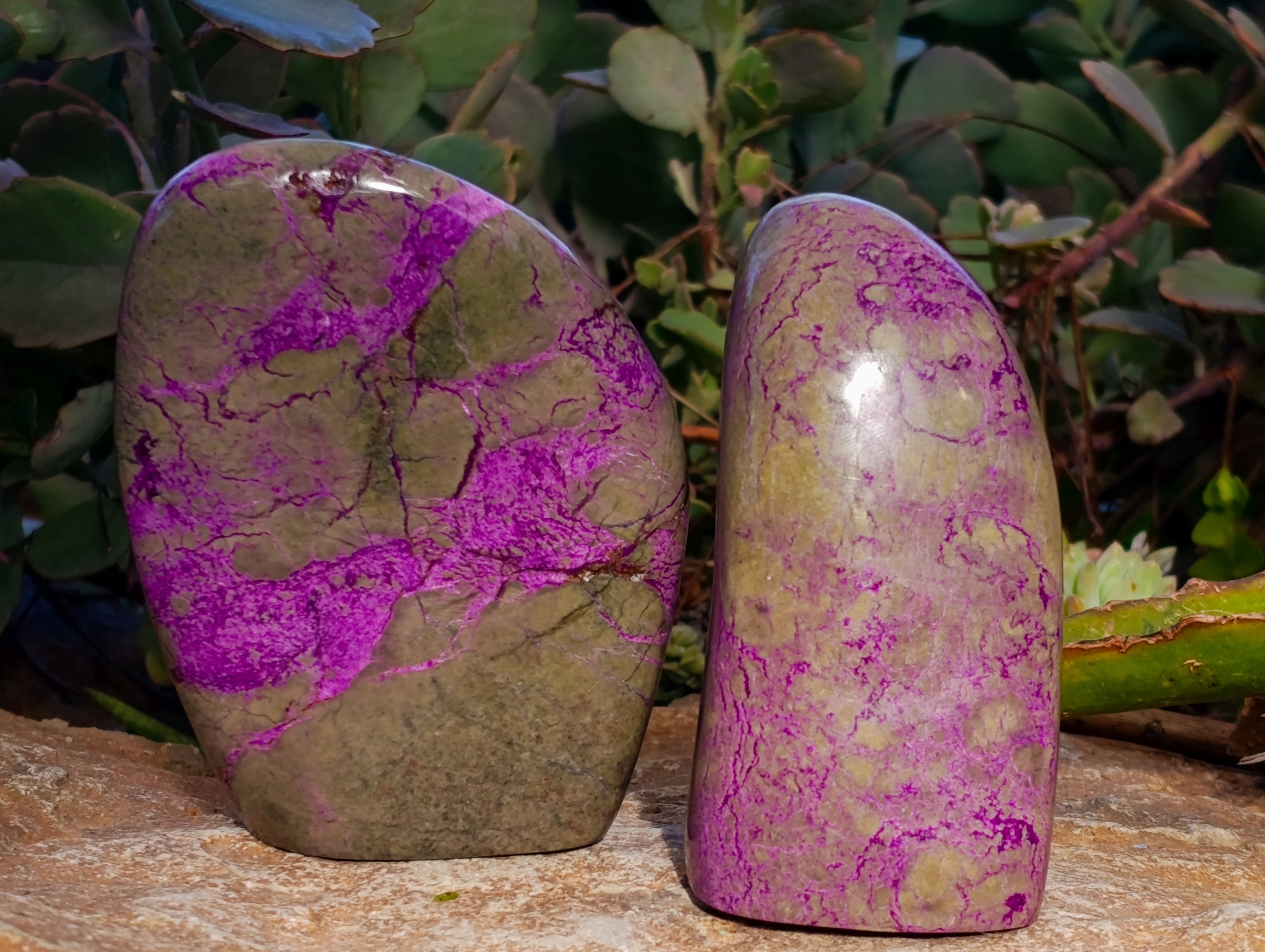 Polished Stichtite Standing Free Forms x 3 From Barberton, South Africa - Toprock Gemstones and Minerals 