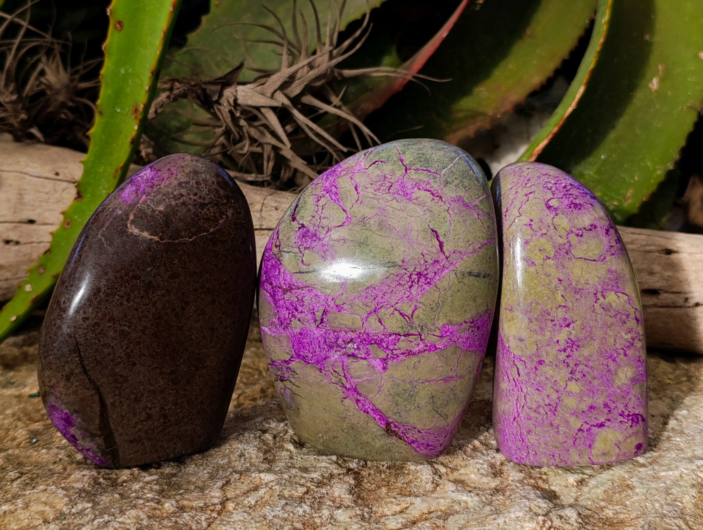 Polished Stichtite Standing Free Forms x 3 From Barberton, South Africa - Toprock Gemstones and Minerals 