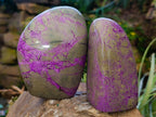 Polished Stichtite Standing Free Forms x 3 From Barberton, South Africa - Toprock Gemstones and Minerals 