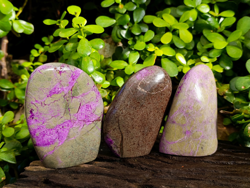 Polished Stichtite Standing Free Forms x 3 From Barberton, South Africa - Toprock Gemstones and Minerals 