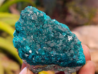 Natural Dioptase On Dolomite with Malachite Specimens x 2 From Likasi, Congo - Toprock Gemstones and Minerals 