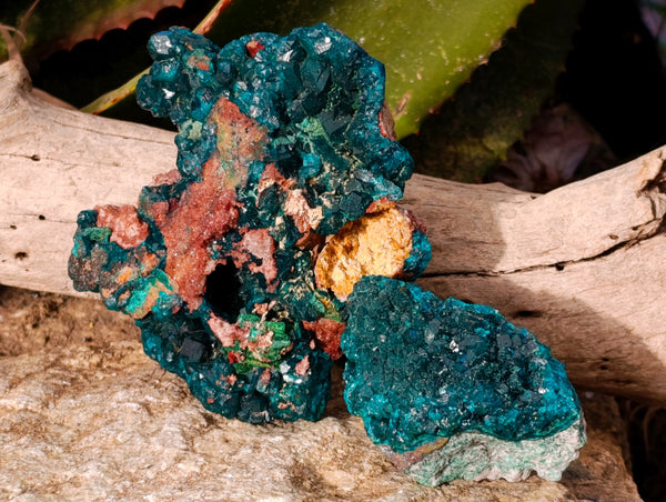 Natural Dioptase On Dolomite with Malachite Specimens x 2 From Likasi, Congo