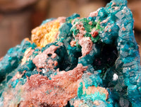 Natural Dioptase On Dolomite with Malachite Specimens x 2 From Likasi, Congo - Toprock Gemstones and Minerals 