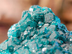 Natural Dioptase On Dolomite with Malachite Specimens x 2 From Likasi, Congo - Toprock Gemstones and Minerals 