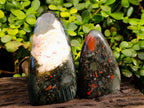 Polished Bloodstone Standing Free Forms x 2 From Swaziland - Toprock Gemstones and Minerals 
