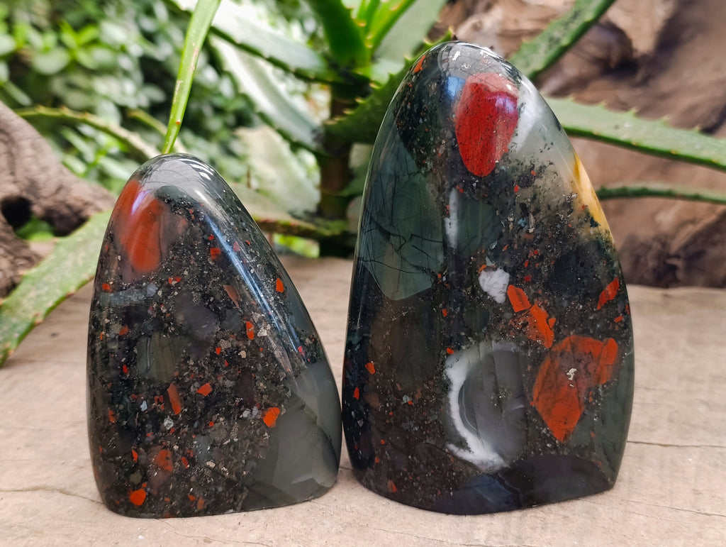 Polished Bloodstone Standing Free Forms x 2 From Swaziland - Toprock Gemstones and Minerals 