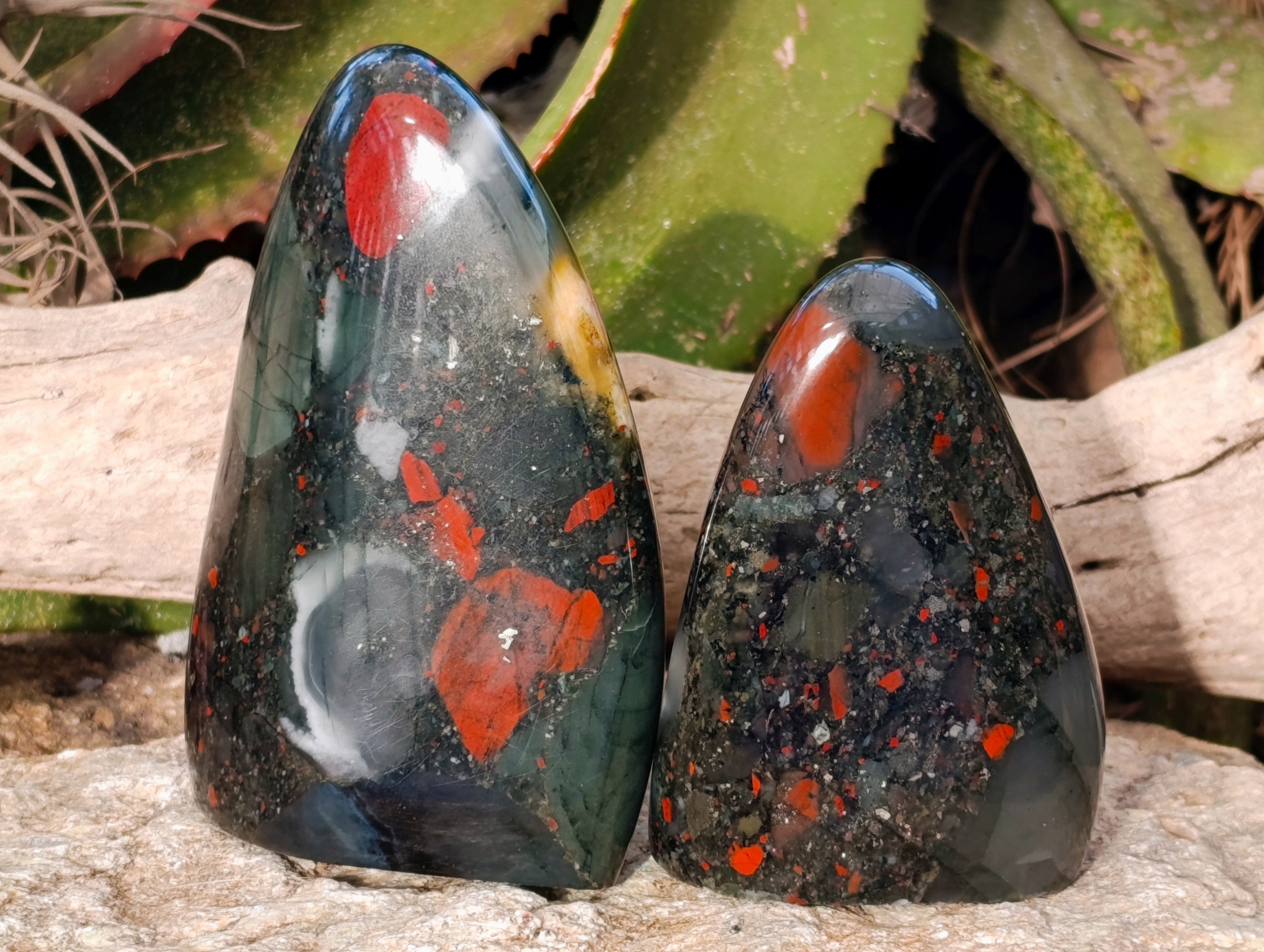 Polished Bloodstone Standing Free Forms x 2 From Swaziland - Toprock Gemstones and Minerals 