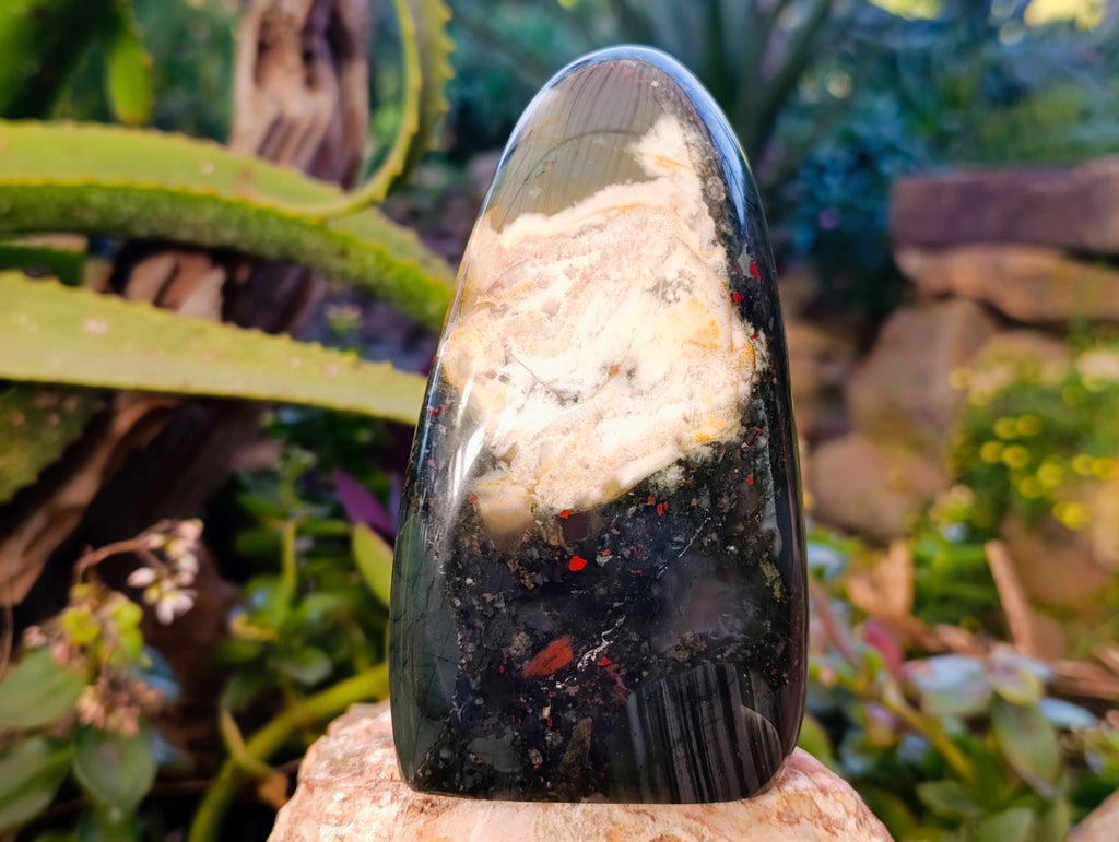 Polished Bloodstone Standing Free Forms x 2 From Swaziland - Toprock Gemstones and Minerals 
