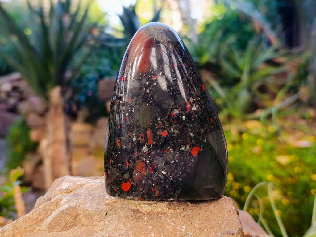 Polished Bloodstone Standing Free Forms x 2 From Swaziland - Toprock Gemstones and Minerals 