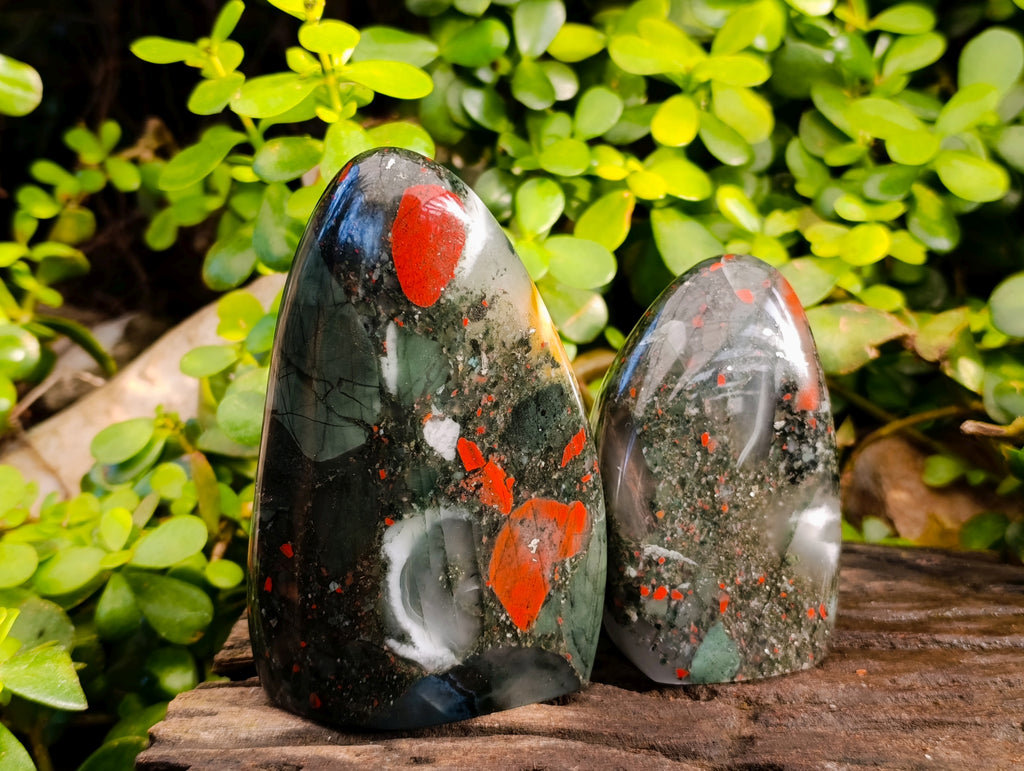 Polished Bloodstone Standing Free Forms x 2 From Swaziland - Toprock Gemstones and Minerals 