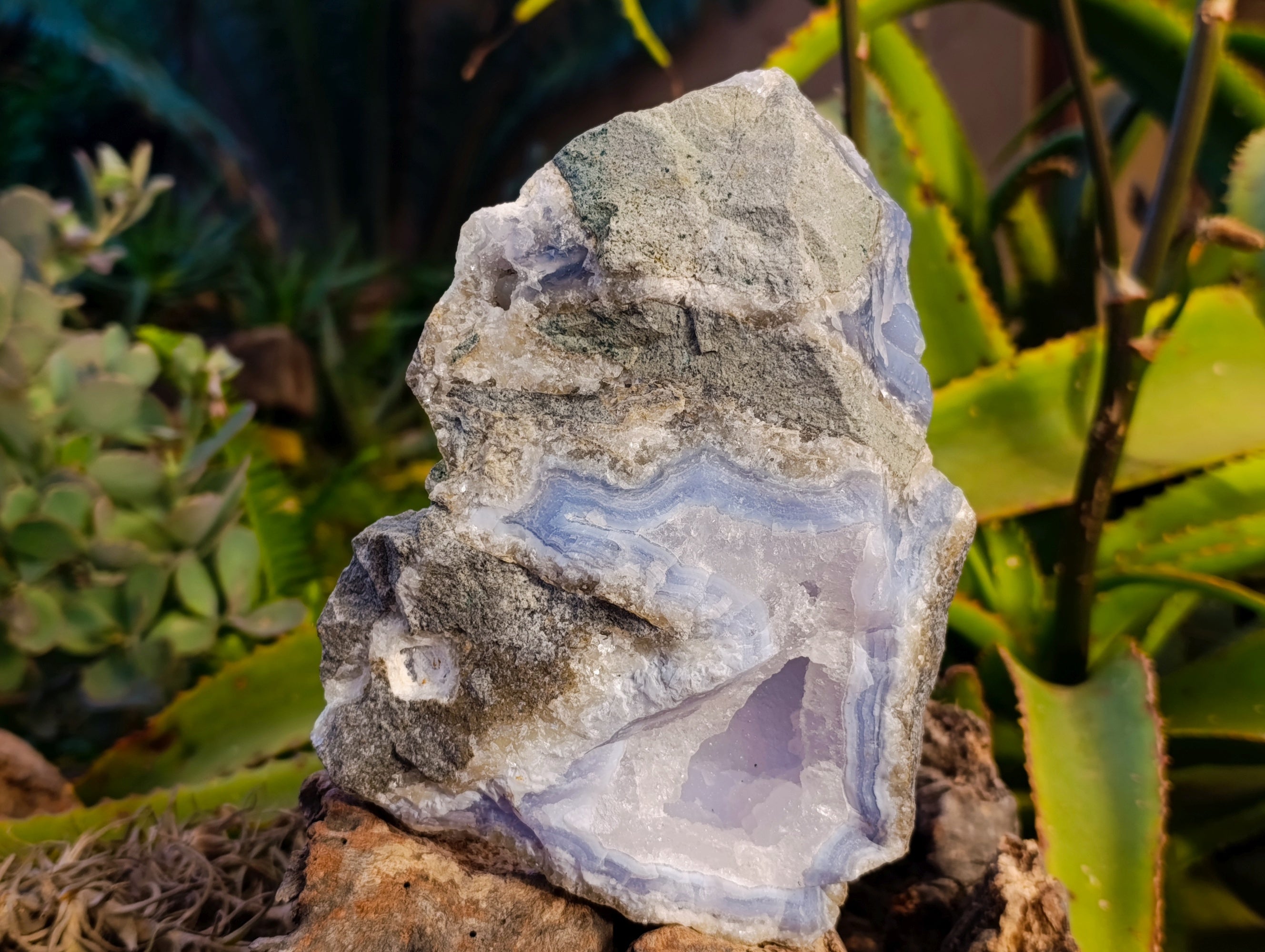 Natural Blue Lace Agate Geode Specimens x 2 From Nsanje, Malawi - Toprock Gemstones and Minerals 