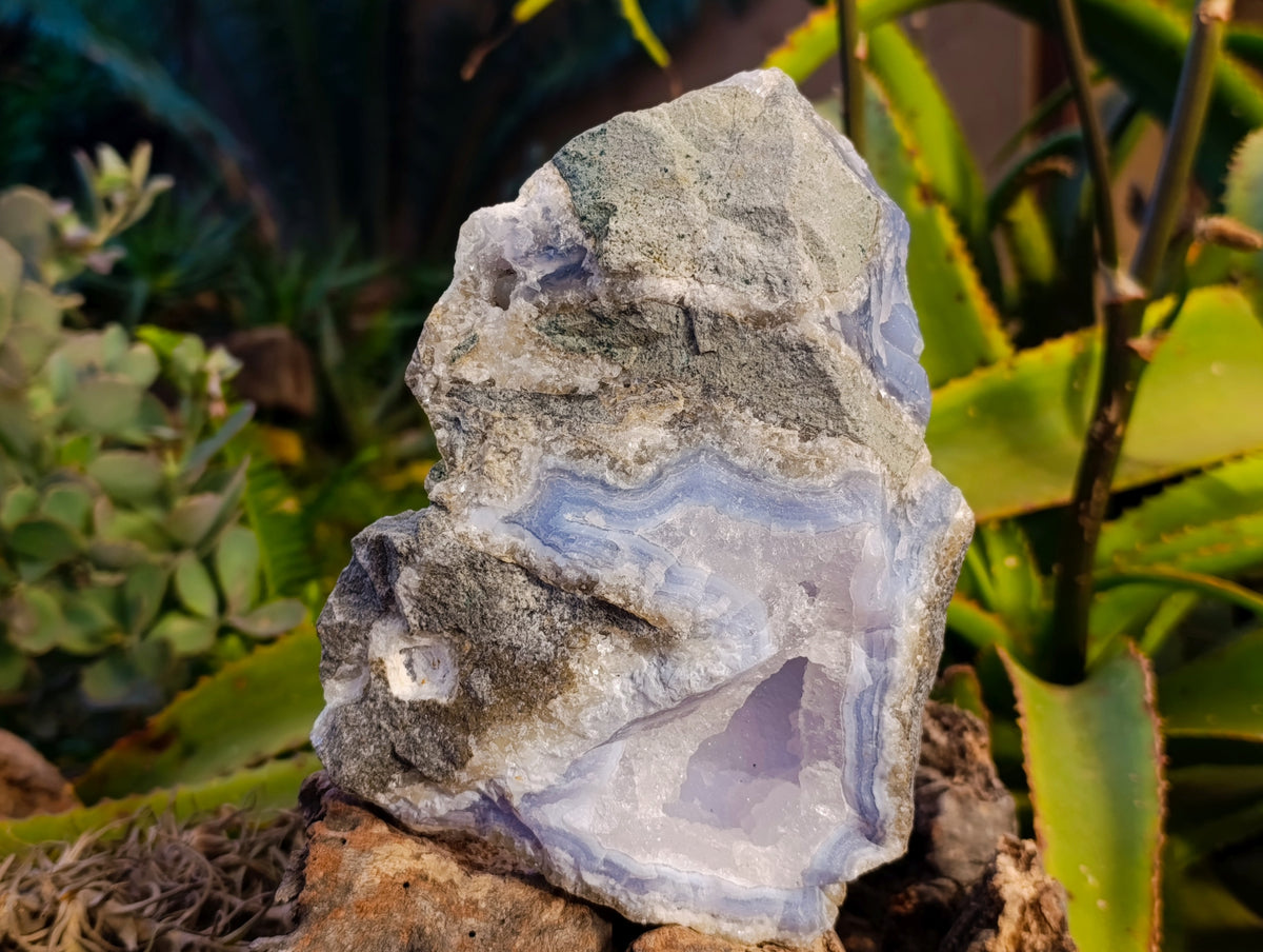 Natural Blue Lace Agate Geode Specimens x 2 From Nsanje, Malawi - Toprock Gemstones and Minerals 