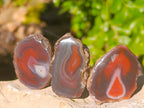 Polished On One Side Red Sashe River Agate Nodules x 20 From Zimbabwe - Toprock Gemstones and Minerals 
