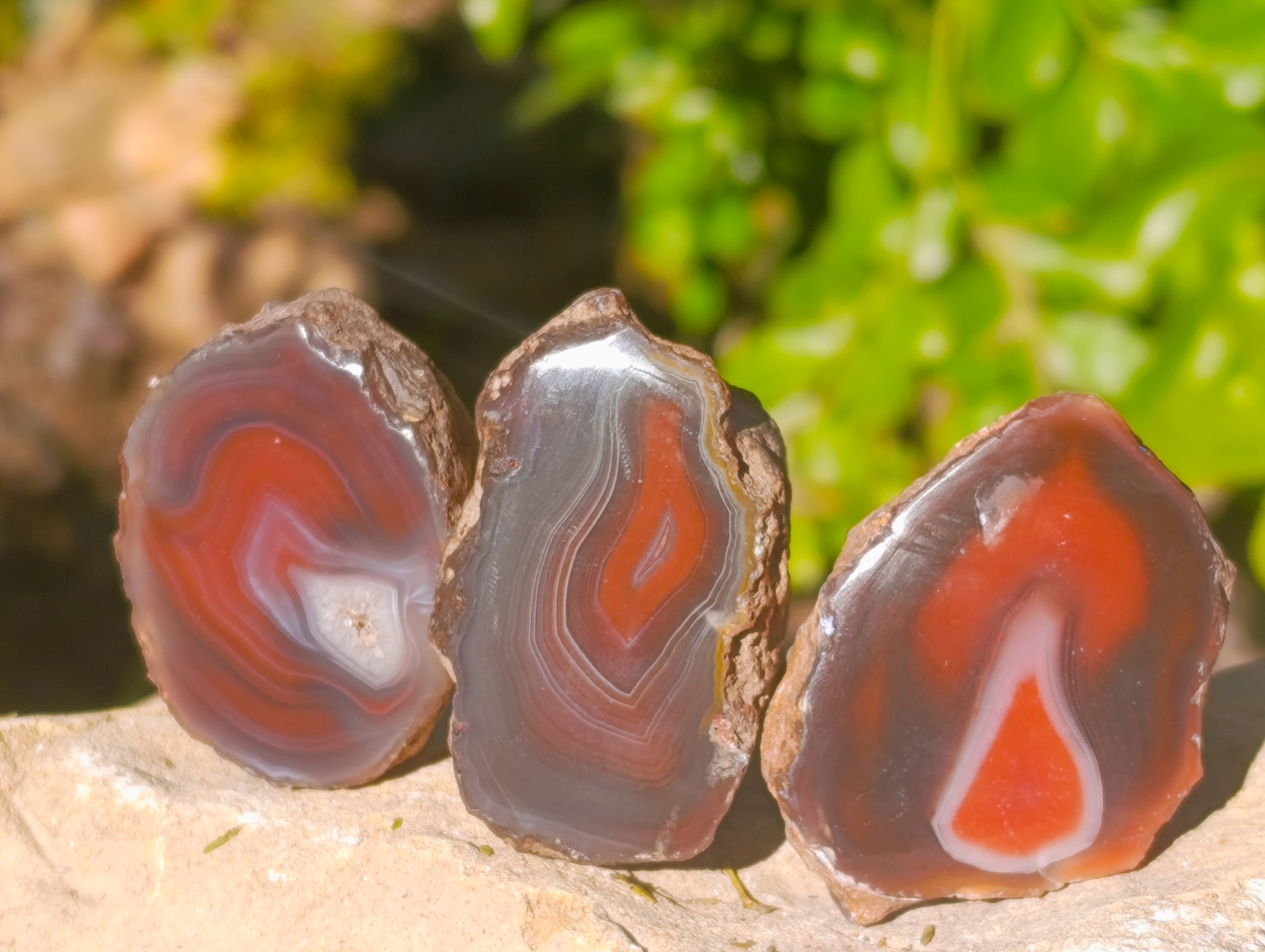 Polished On One Side Red Sashe River Agate Nodules x 20 From Zimbabwe - Toprock Gemstones and Minerals 