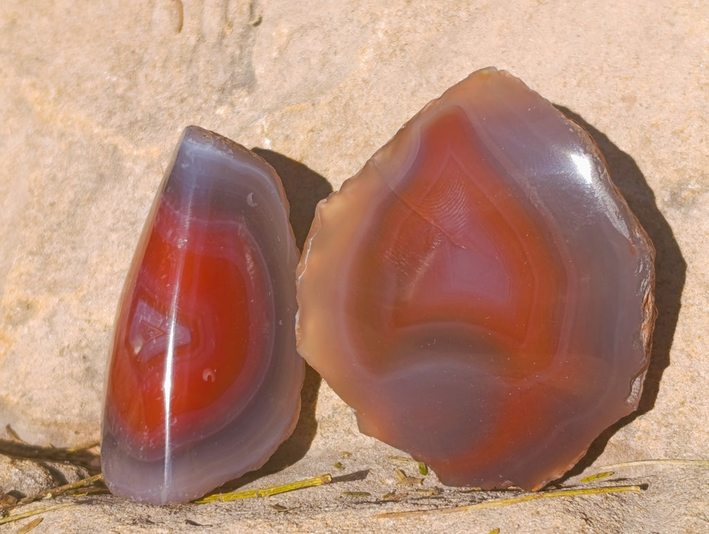 Polished On One Side Red Sashe River Agate Nodules x 20 From Zimbabwe - Toprock Gemstones and Minerals 