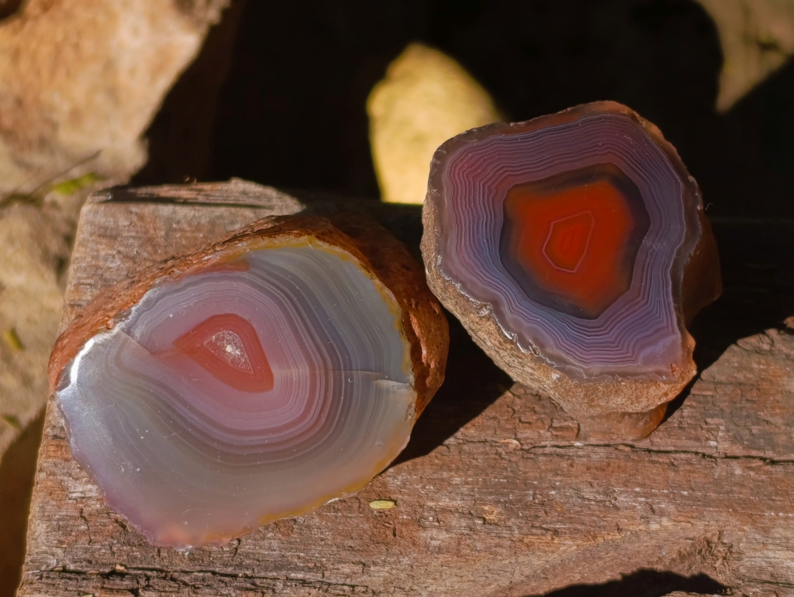 Polished On One Side Red Sashe River Agate Nodules x 20 From Zimbabwe - Toprock Gemstones and Minerals 