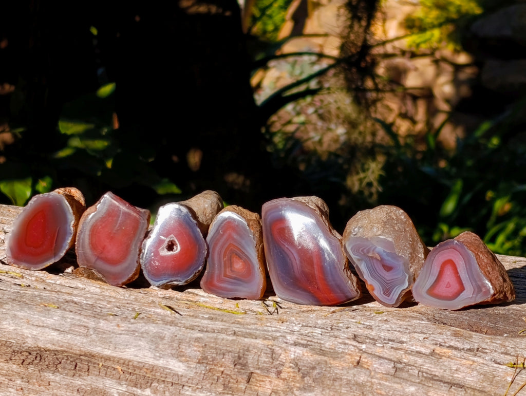 Polished On One Side Red Sashe River Agate Nodules x 20 From Zimbabwe - Toprock Gemstones and Minerals 