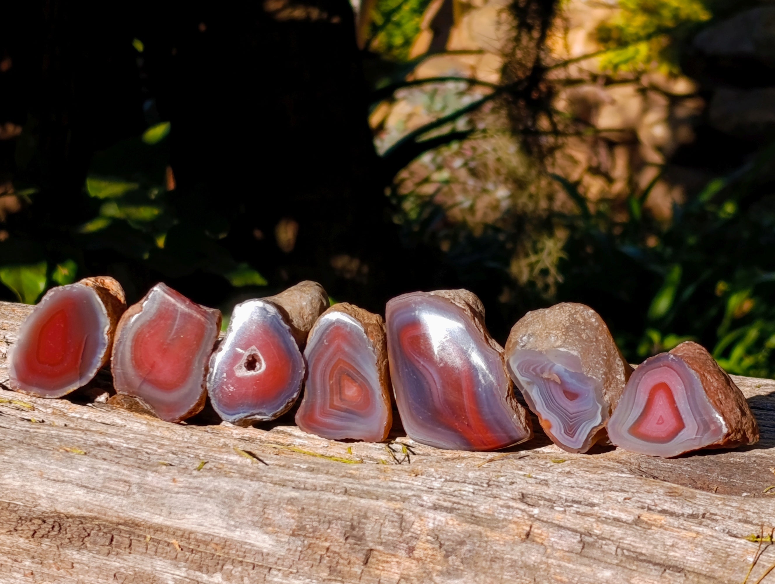 Polished On One Side Red Sashe River Agate Nodules x 20 From Zimbabwe - Toprock Gemstones and Minerals 