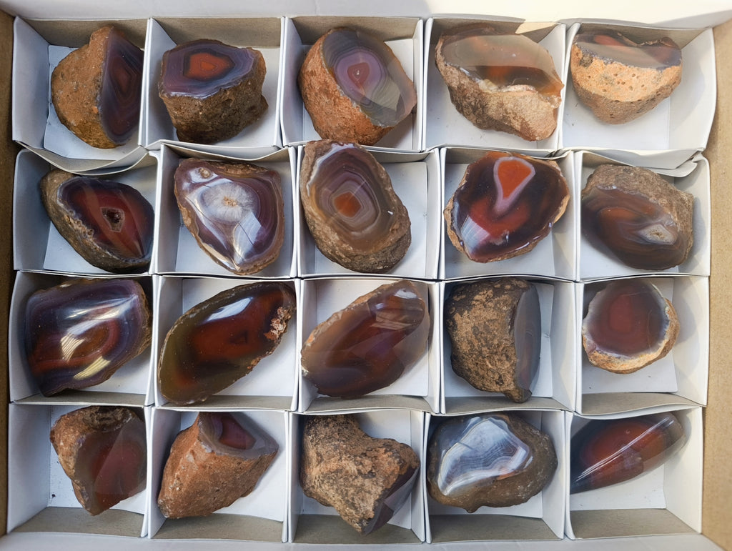 Polished On One Side Red Sashe River Agate Nodules x 20 From Zimbabwe - Toprock Gemstones and Minerals 