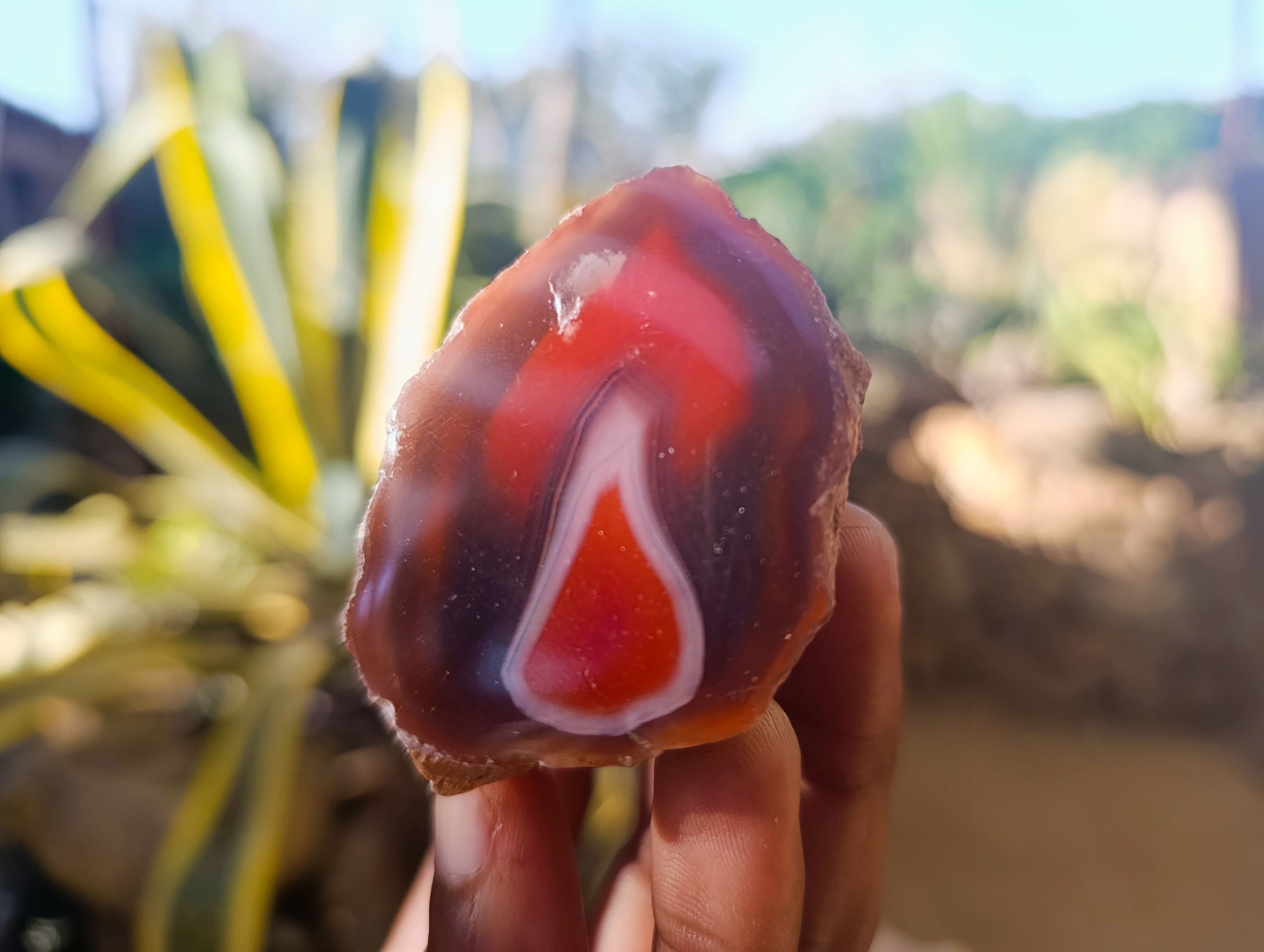 Polished On One Side Red Sashe River Agate Nodules x 20 From Zimbabwe - Toprock Gemstones and Minerals 
