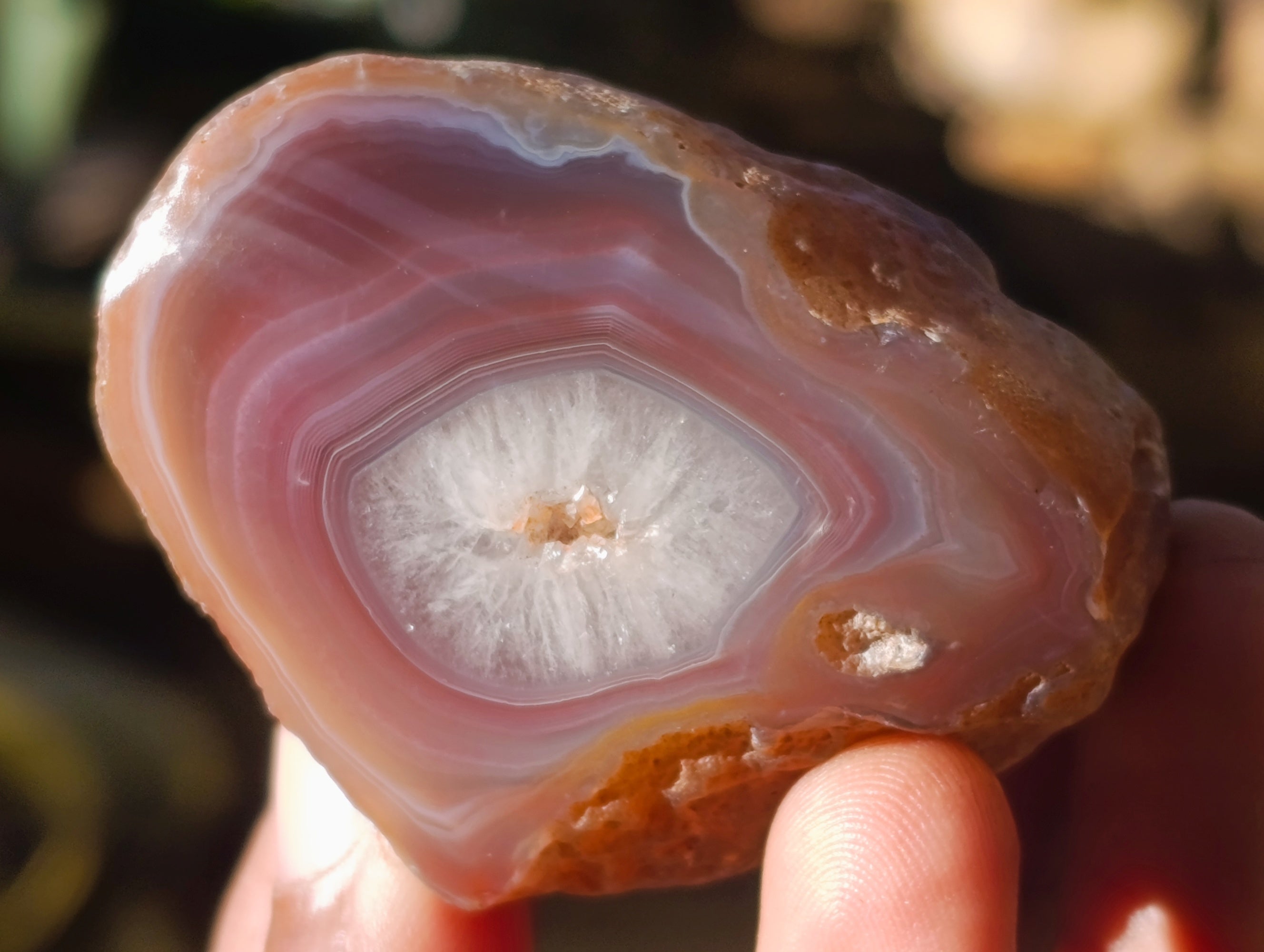 Polished On One Side Red Sashe River Agate Nodules x 20 From Zimbabwe - Toprock Gemstones and Minerals 