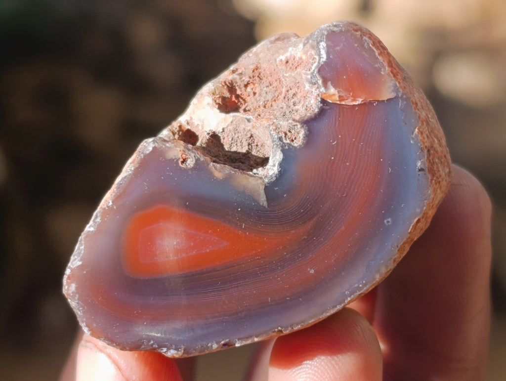 Polished On One Side Red Sashe River Agate Nodules x 20 From Zimbabwe - Toprock Gemstones and Minerals 