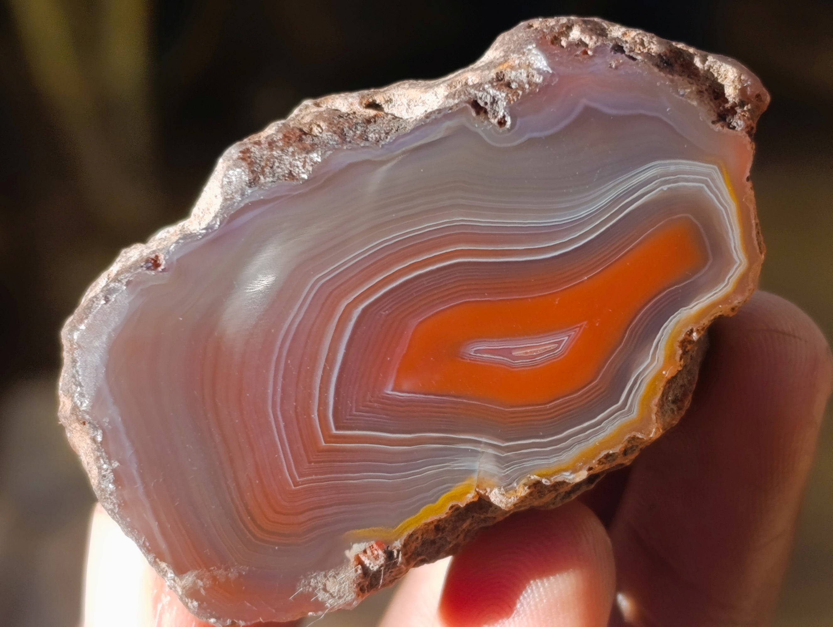 Polished On One Side Red Sashe River Agate Nodules x 20 From Zimbabwe - Toprock Gemstones and Minerals 