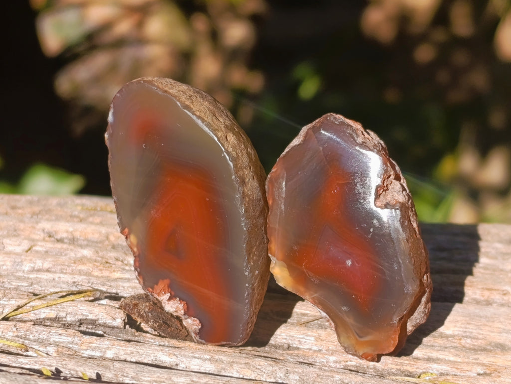 Polished On One Side Red Sashe River Agate Nodules x 20 From Zimbabwe - Toprock Gemstones and Minerals 
