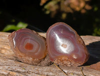 Polished On One Side Red Sashe River Agate Nodules x 20 From Zimbabwe - Toprock Gemstones and Minerals 
