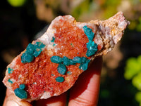Natural Dioptase on Dolomite Matrix Specimens x 12 From Likasi, Congo - Toprock Gemstones and Minerals 