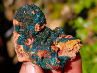Natural Dioptase on Dolomite Matrix Specimens x 12 From Likasi, Congo - Toprock Gemstones and Minerals 