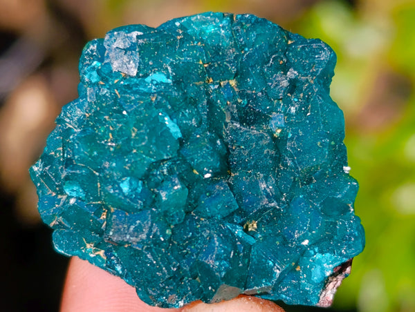 Natural Dioptase on Dolomite Matrix Specimens x 12 From Likasi, Congo