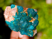 Natural Dioptase on Dolomite Matrix Specimens x 12 From Likasi, Congo - Toprock Gemstones and Minerals 