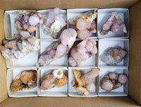 Natural Amethyst Spirit Quartz Clusters x 12 From Boekenhouthoek, South Africa
