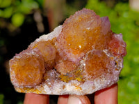 Natural Amethyst Spirit Quartz Clusters x 12 From Boekenhouthoek, South Africa