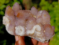 Natural Amethyst Spirit Quartz Clusters x 12 From Boekenhouthoek, South Africa