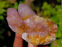 Natural Amethyst Spirit Quartz Clusters x 12 From Boekenhouthoek, South Africa