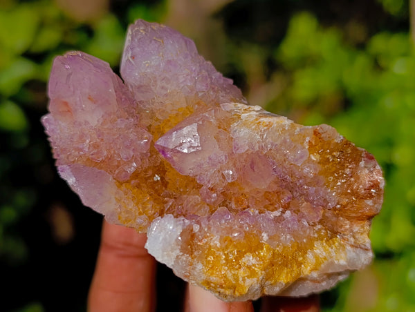 Natural Amethyst Spirit Quartz Clusters x 12 From Boekenhouthoek, South Africa