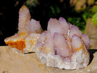 Natural Amethyst Spirit Quartz Clusters x 12 From Boekenhouthoek, South Africa