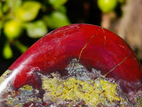 Polished Dragon Bloodstone Standing Free Forms x 3 From South Africa - Toprock Gemstones and Minerals 