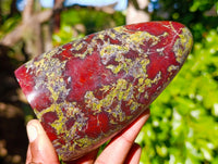 Polished Dragon Bloodstone Standing Free Forms x 3 From South Africa - Toprock Gemstones and Minerals 