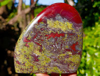 Polished Dragon Bloodstone Standing Free Forms x 3 From South Africa - Toprock Gemstones and Minerals 