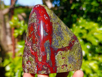 Polished Dragon Bloodstone Standing Free Forms x 3 From South Africa - Toprock Gemstones and Minerals 