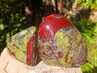 Polished Dragon Bloodstone Standing Free Forms x 3 From South Africa - Toprock Gemstones and Minerals 