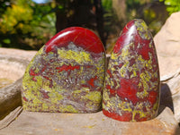 Polished Dragon Bloodstone Standing Free Forms x 3 From South Africa - Toprock Gemstones and Minerals 