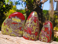 Polished Dragon Bloodstone Standing Free Forms x 3 From South Africa - Toprock Gemstones and Minerals 